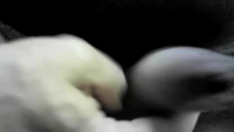 felicaste online show from 09-17-25, 10:33