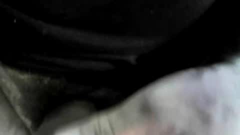 felicaste online show from 10-15-25, 09:26