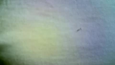 Snapshot of felicaste chatting on 04-21-26, 11:38 felicaste online show from 04-21-26, 11:38