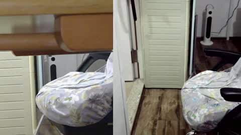 felixlau online show from 01-26-25, 12:11