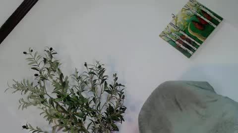 Snapshot of femboy_veronica chatting on 05-03-26, 06:19 femboy_veronica online show from 05-03-26, 06:19