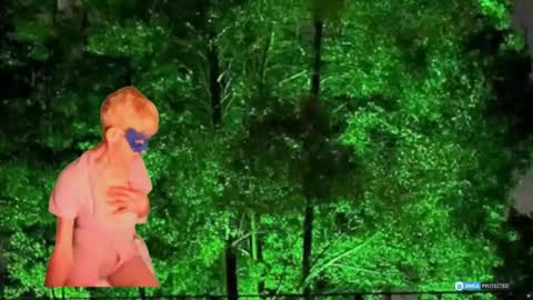 Daniani online show from 03-01-26, 10:12