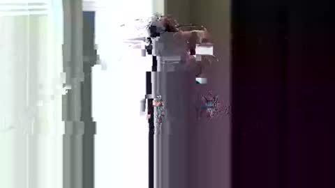 fer28639 online show from 04-11-26, 04:44