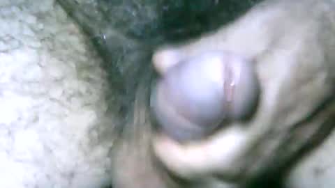 Snapshot of fer_2197 chatting on 01-01-25, 04:29 fer_2197 online show from 01-01-25, 04:29