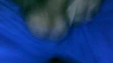 Snapshot of fer_2197 chatting on 01-23-25, 01:24 fer_2197 online show from 01-23-25, 01:24