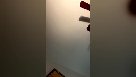 fettybetty777 online show from 03-03-26, 03:56