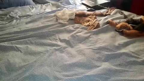 ffst0ckings online show from 12-25-24, 07:56