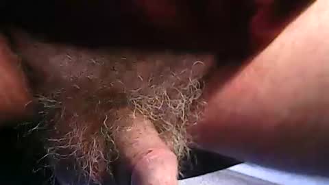 Snapshot of fh1963 chatting on 02-20-26, 12:16 fh1963 online show from 02-20-26, 12:16