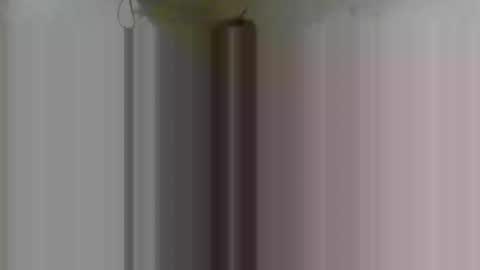 Snapshot of firsttime_freak chatting on 02-08-26, 04:38 FirstTimeFeak online show from 02-08-26, 04:38