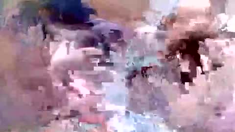 fishon13 online show from 04-19-26, 01:38