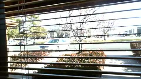 pain slut daren online show from 01-09-25, 07:08