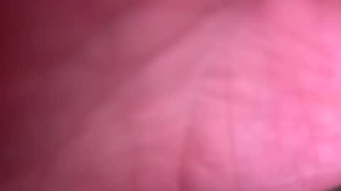 Snapshot of fittallhungdilf chatting on 12-20-24, 03:42 fittallhungdilf online show from 12-20-24, 03:42