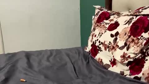 FittBoy online show from 03-28-26, 03:22