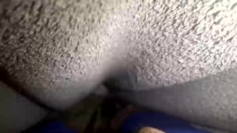 flaash_99 online show from 03-02-26, 11:28