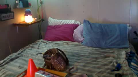 Eisha online show from 12-22-24, 09:09