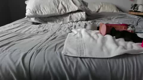 Snapshot of floridaman1993 chatting on 09-27-25, 06:24 FloridaMan1993 online show from 09-27-25, 06:24