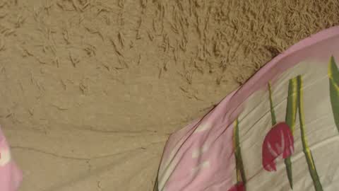 Snapshot of flowercandydoll chatting on 12-09-24, 07:07 say meow and send tip  online show from 12-09-24, 07:07