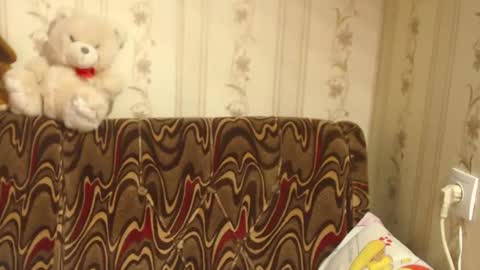 Snapshot of flowercandydoll chatting on 02-27-25, 08:50 say meow and send tip  online show from 02-27-25, 08:50
