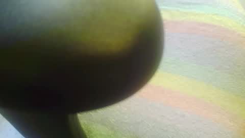 Snapshot of floydeboy chatting on 05-05-26, 02:19 floydeboy online show from 05-05-26, 02:19