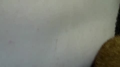 flufferbutt2 online show from 04-04-26, 10:24
