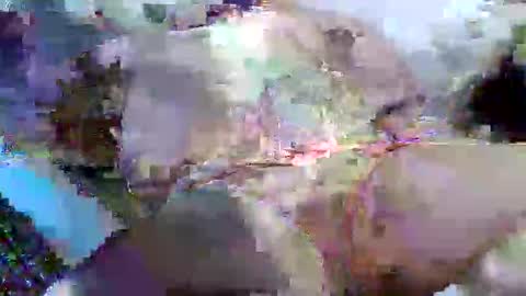 flufferbutt2 online show from 04-14-26, 05:13