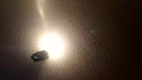 flyyguy69 online show from 01-11-26, 01:38