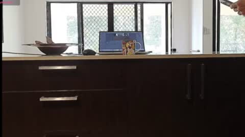 fnq41 online show from 06-18-26, 11:53