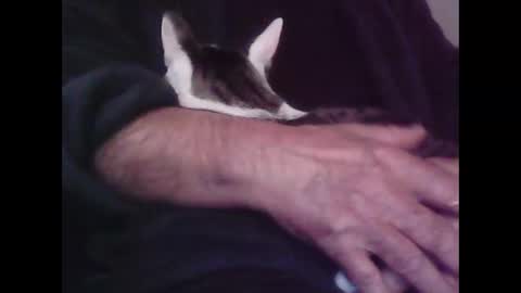 Hooz2no online show from 10-12-25, 12:53