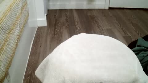 forestnymphpdx online show from 10-19-25, 12:11