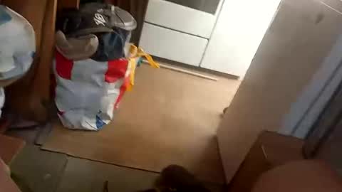 Fouducu online show from 03-16-26, 12:09