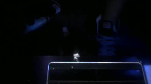 foxx2021 online show from 10-25-25, 12:29