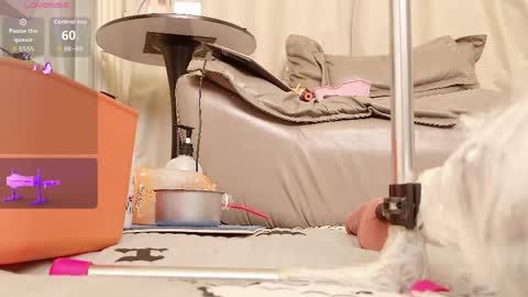 yiyi online show from 04-14-26, 07:58