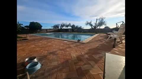 fra  71 online show from 03-27-26, 04:29