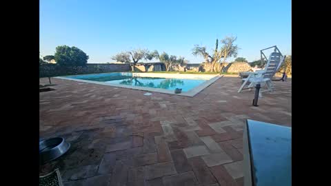 fra  71 online show from 03-28-26, 06:13