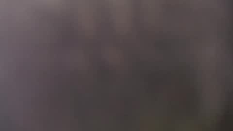 francescosal online show from 05-15-26, 10:44