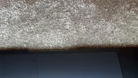 Snapshot of freaky__athena chatting on 02-27-26, 09:15 athena online show from 02-27-26, 09:15