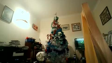 Snapshot of fredlittledick4 chatting on 12-05-24, 07:49 Keith online show from 12-05-24, 07:49