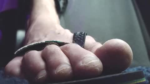 Greedy Fred online show from 02-20-26, 02:30