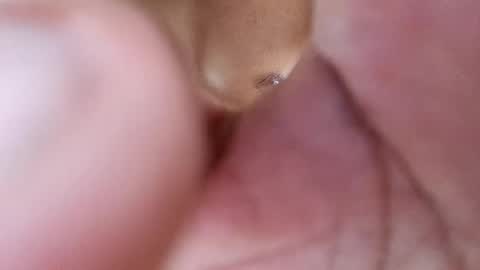 Phantom online show from 02-17-25, 08:47