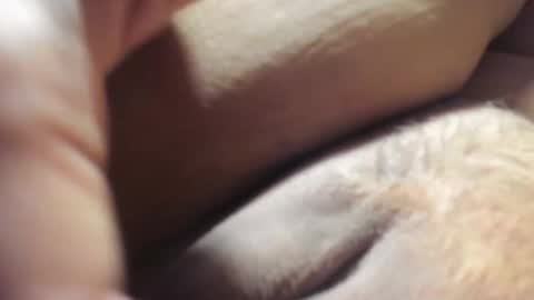 Snapshot of frumcake chatting on 12-06-24, 01:18 FrumCake online show from 12-06-24, 01:18