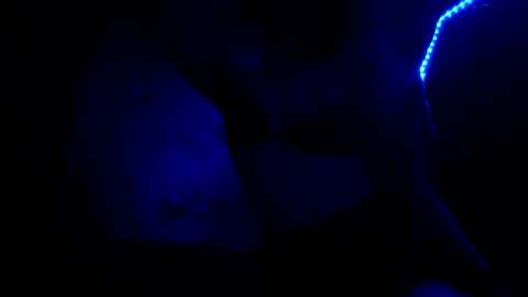 fu338208 online show from 10-26-25, 06:52