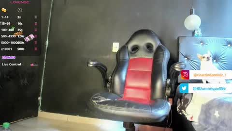Ricardodominic 1   MODELO INDEPENDIENTE online show from 05-12-26, 05:10