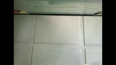 Warwick online show from 12-07-24, 03:47