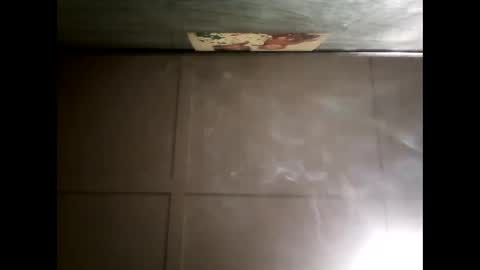 Warwick online show from 12-09-24, 08:55