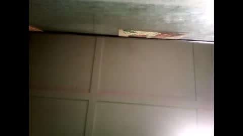 Warwick online show from 12-26-24, 09:01