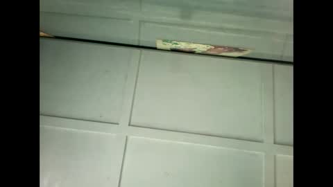 Warwick online show from 01-18-25, 11:55