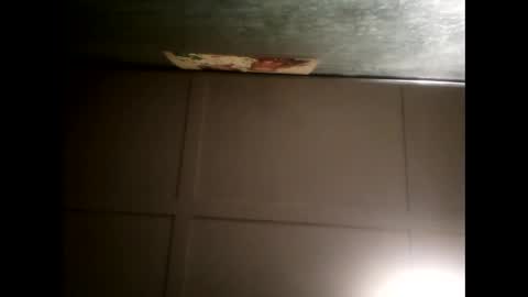 Warwick online show from 02-13-25, 08:48