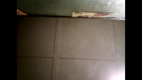 Warwick online show from 03-12-25, 11:20