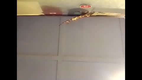 Warwick online show from 10-16-25, 07:09