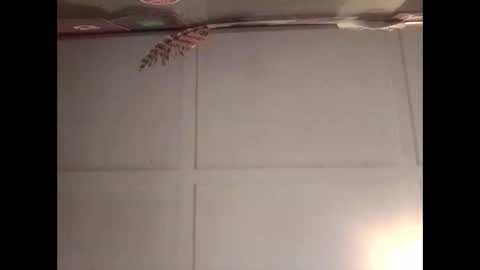 Warwick online show from 10-30-25, 11:16